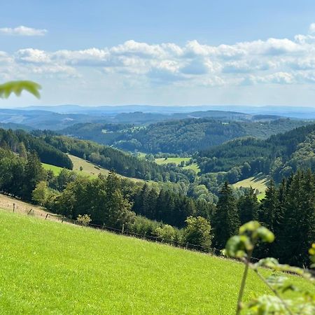 Ferienwohnung Up Willingen-Schwalefeld Віллінген Екстер'єр фото