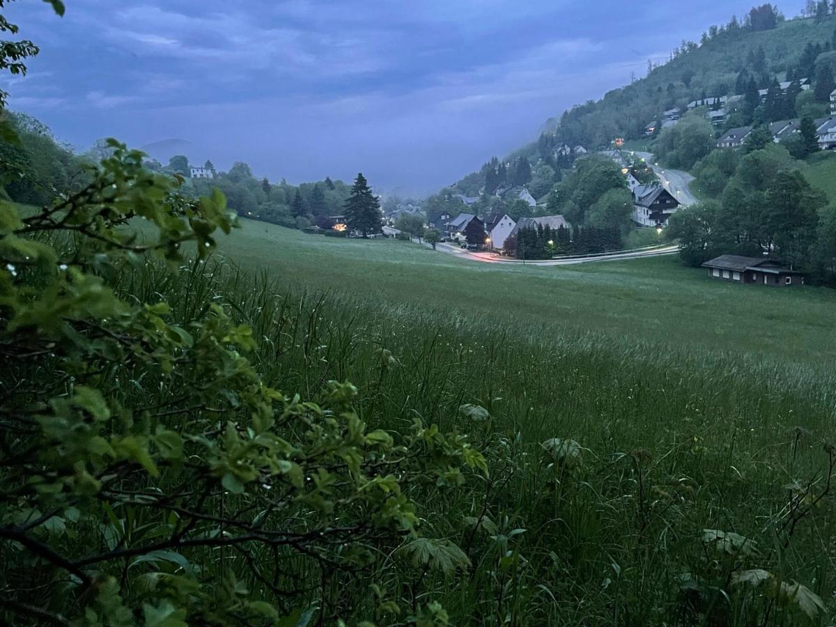 Ferienwohnung Up Willingen-Schwalefeld Віллінген Екстер'єр фото