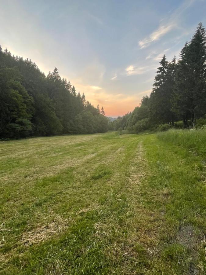 Ferienwohnung Up Willingen-Schwalefeld Віллінген Екстер'єр фото