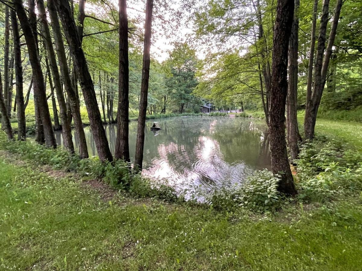 Ferienwohnung Up Willingen-Schwalefeld Віллінген Екстер'єр фото