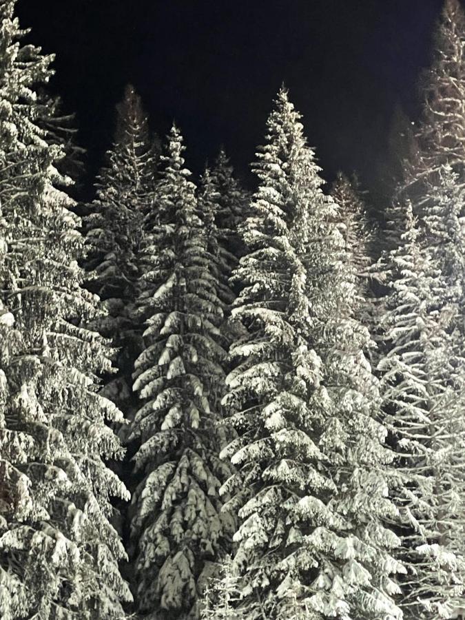 Ferienwohnung Up Willingen-Schwalefeld Віллінген Екстер'єр фото