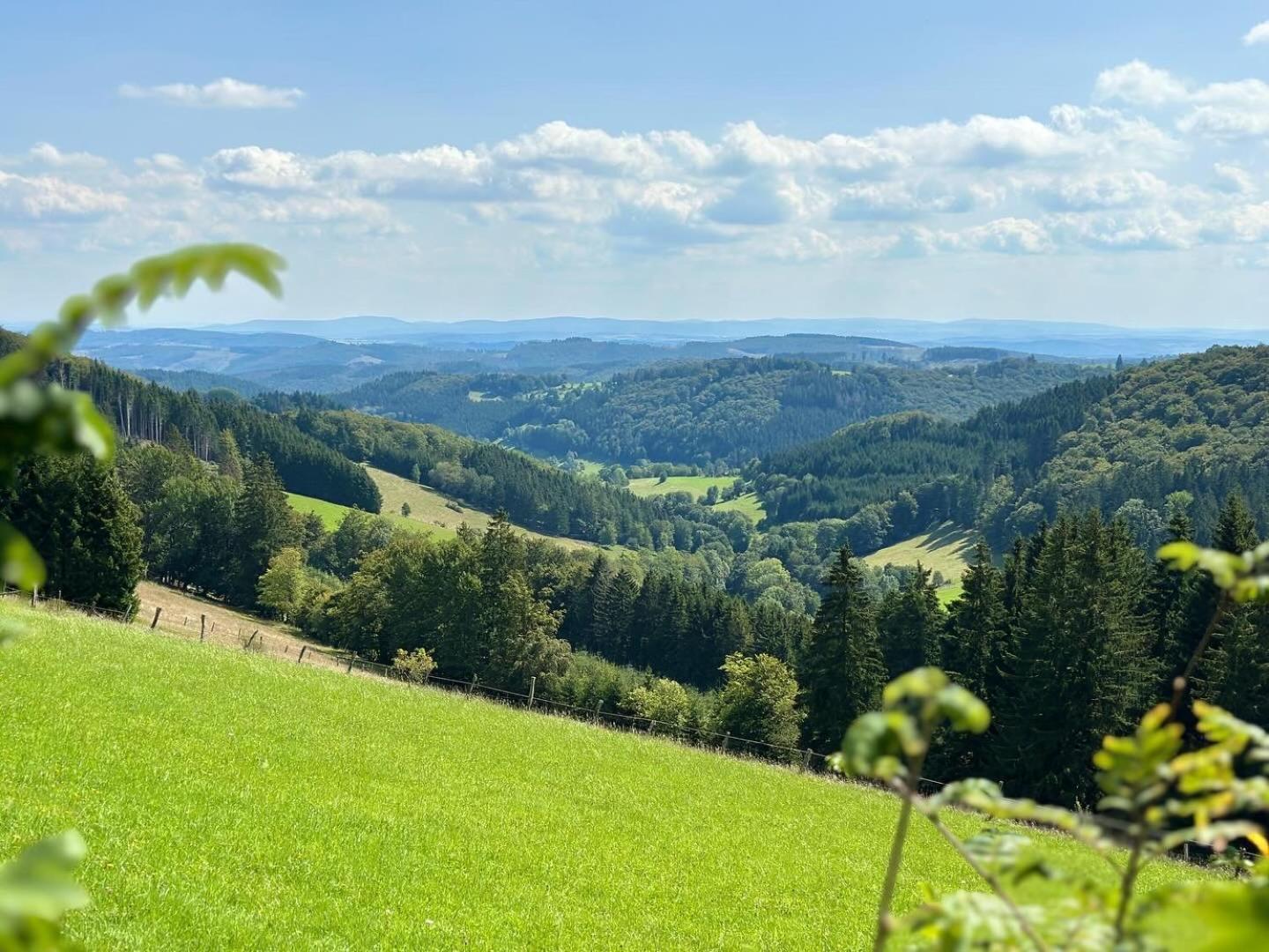 Ferienwohnung Up Willingen-Schwalefeld Віллінген Екстер'єр фото